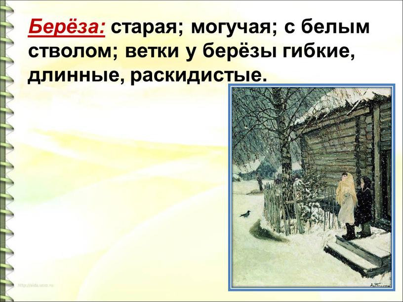 Берёза: старая; могучая; с белым стволом; ветки у берёзы гибкие, длинные, раскидистые