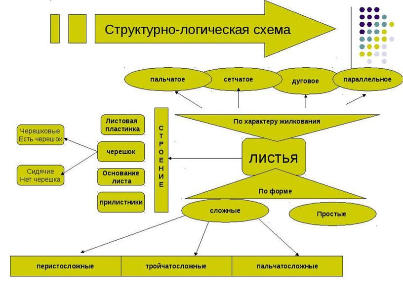 Презентация. Использование  схем и таблиц  на уроках географии и биологии