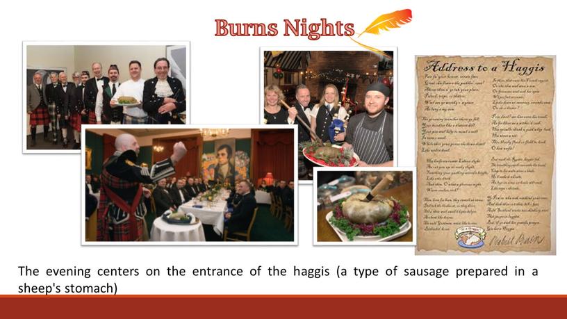 Burns Nights The evening centers on the entrance of the haggis (a type of sausage prepared in a sheep's stomach)