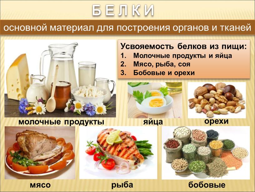 Б Е Л К И основной материал для построения органов и тканей мясо молочные продукты бобовые яйца рыба