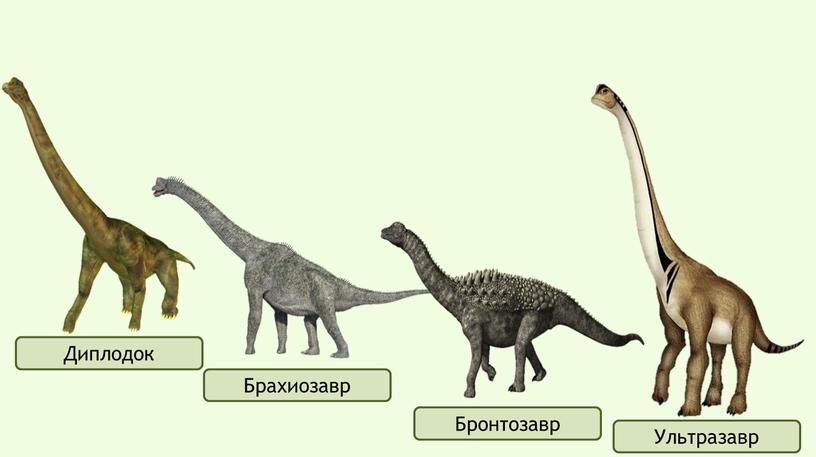 Диплодок Брахиозавр Бронтозавр