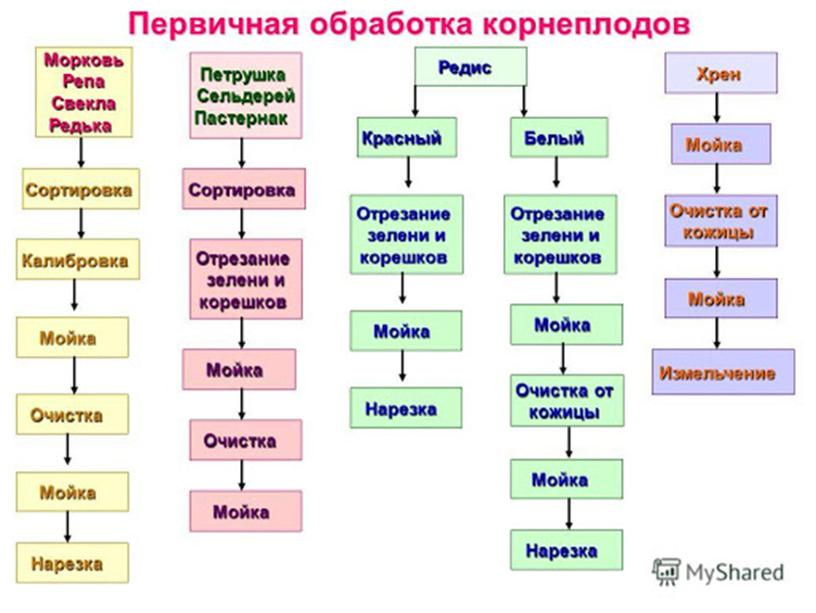 Механическая и кулинарная обработка корнеплодов и  клубнеплодов