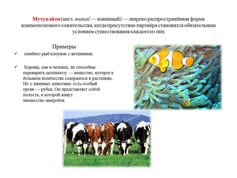 Мутуали́зм (англ. mutual — взаимный) — широко распространённая форма взаимополезного сожительства, когда присутствие партнёра становится обязательным условием существования каждого из них