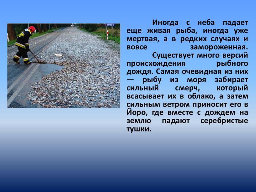 Иногда с неба падает еще живая рыба, иногда уже мертвая, а в редких случаях и вовсе замороженная