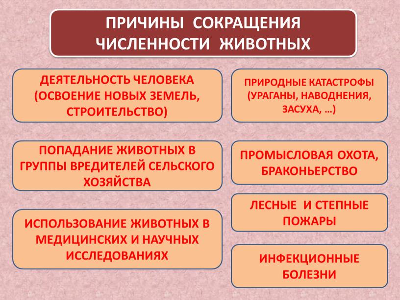 ПРИЧИНЫ СОКРАЩЕНИЯ ЧИСЛЕННОСТИ