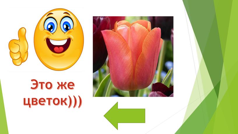 Это же цветок)))
