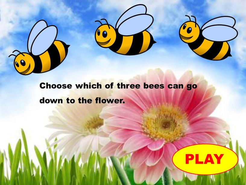Choose which of three bees can go down to the flower