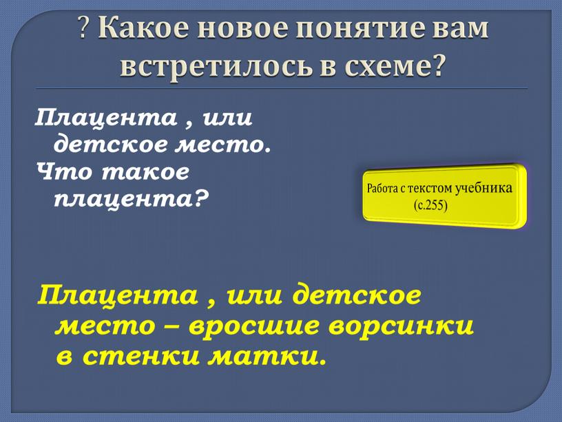 Какое новое понятие вам встретилось в схеме?