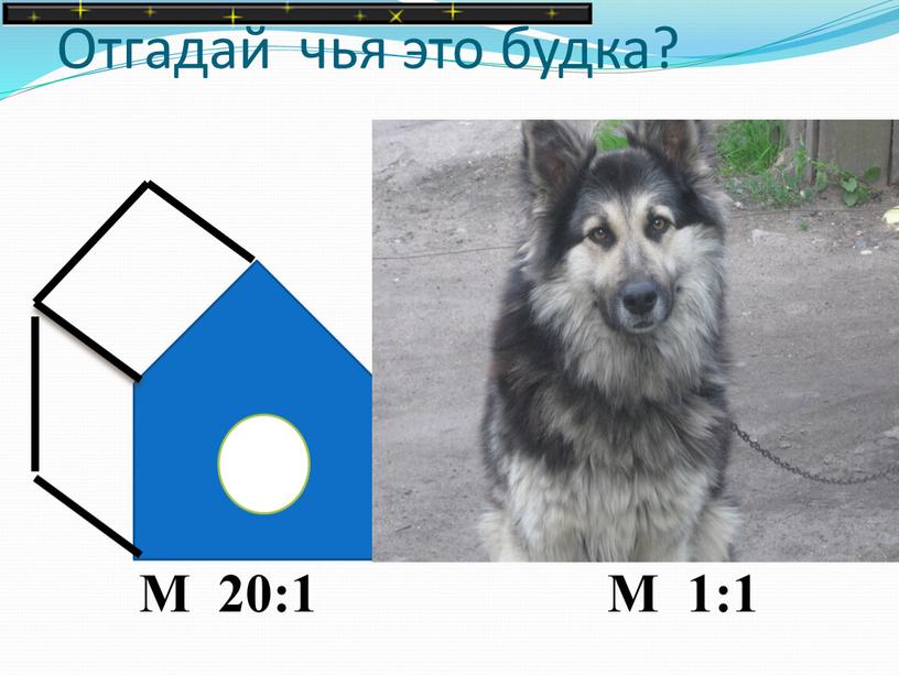 Отгадай чья это будка?