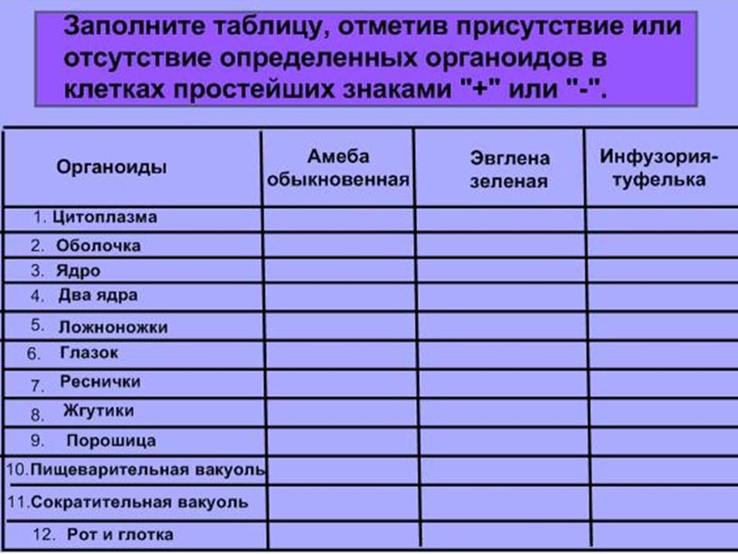 Презентация по биологии 7 класс "Общая характеристика простейших"