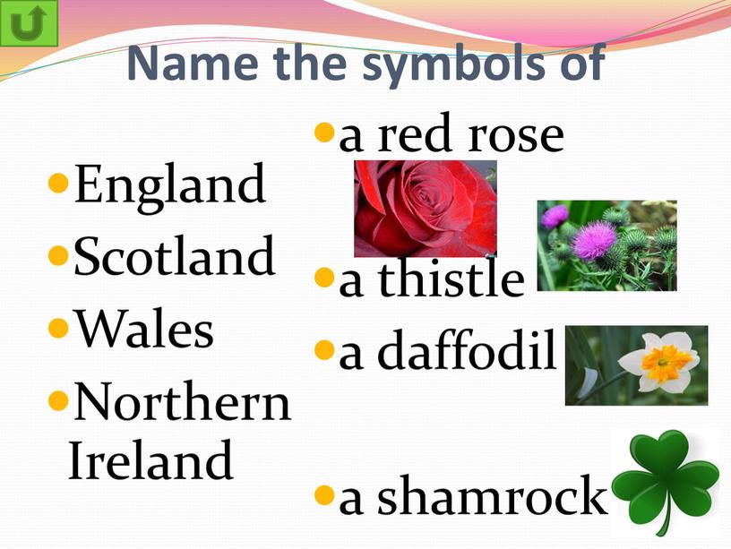 Name the symbols of England Scotland