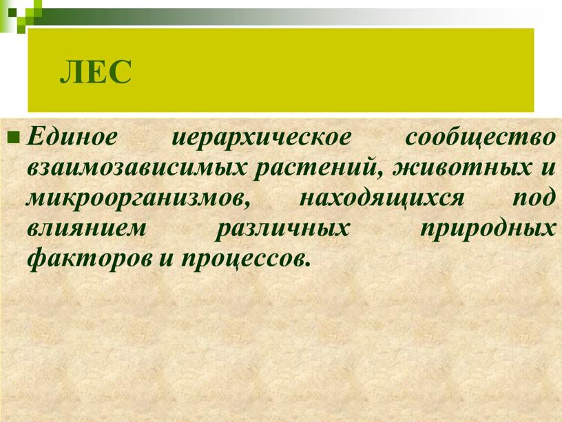 ЛЕС Единое иерархическое сообщество взаимозависимых растений, животных и микроорганизмов, находящихся под влиянием различных природных факторов и процессов