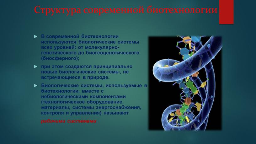 Структура современной биотехнологии