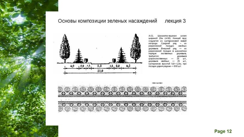 Презентация на тему: "основные виды композиций древесно - кустарниковых растений"й