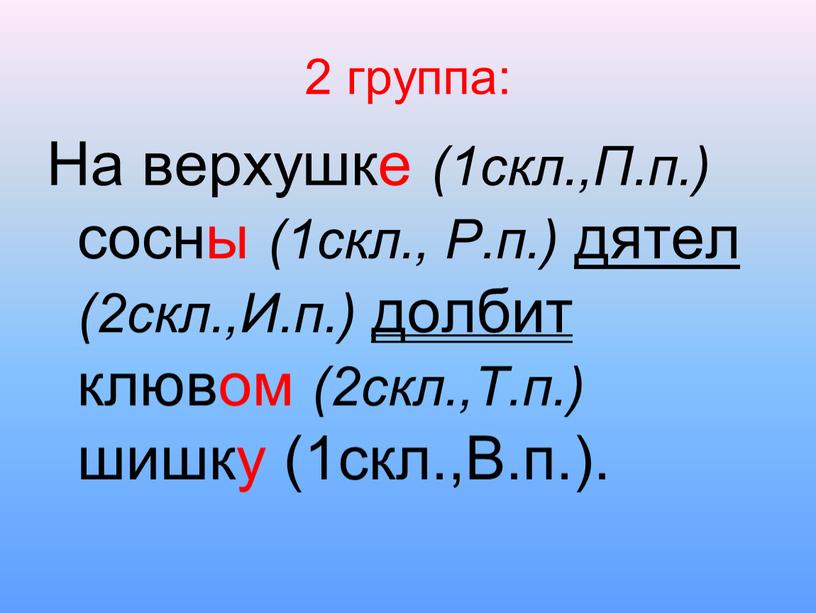 На верхушке (1скл.,П.п.) сосны (1скл