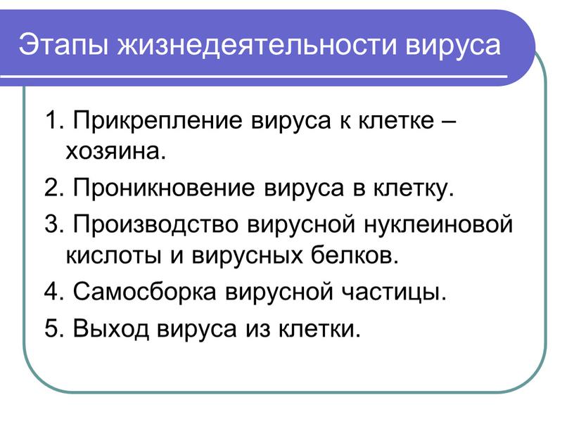 Этапы жизнедеятельности вируса 1