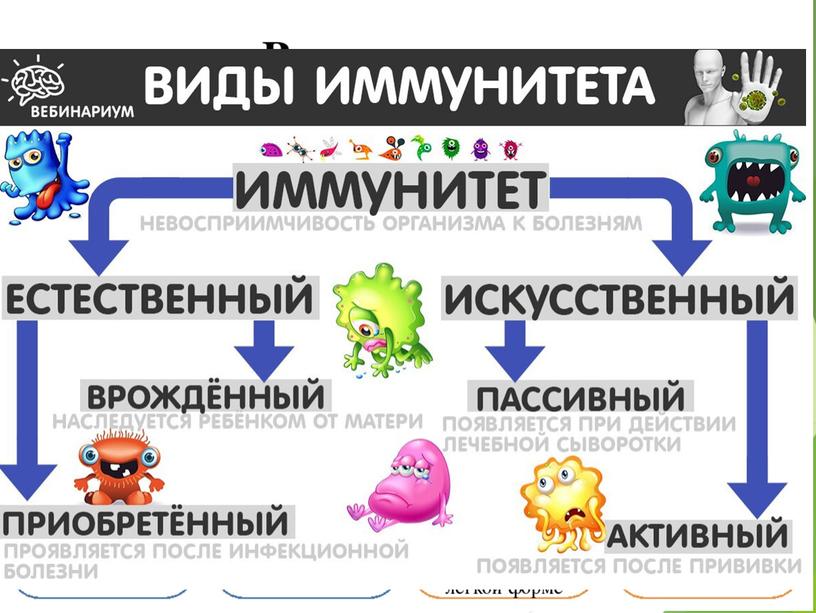 Разбор дэмо-версии по биологии 2019