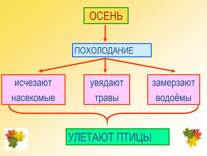 ОСЕНЬ ПОХОЛОДАНИЕ исчезают насекомые увядают травы замерзают водоёмы