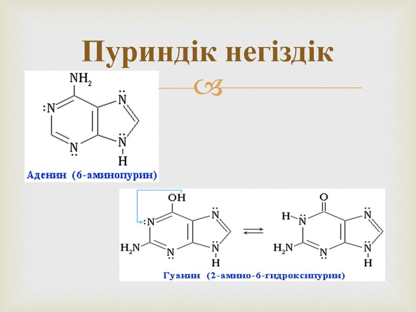 Пуриндік негіздік