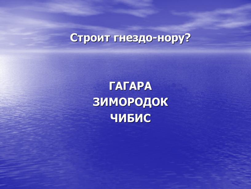 Строит гнездо-нору? ГАГАРА ЗИМОРОДОК