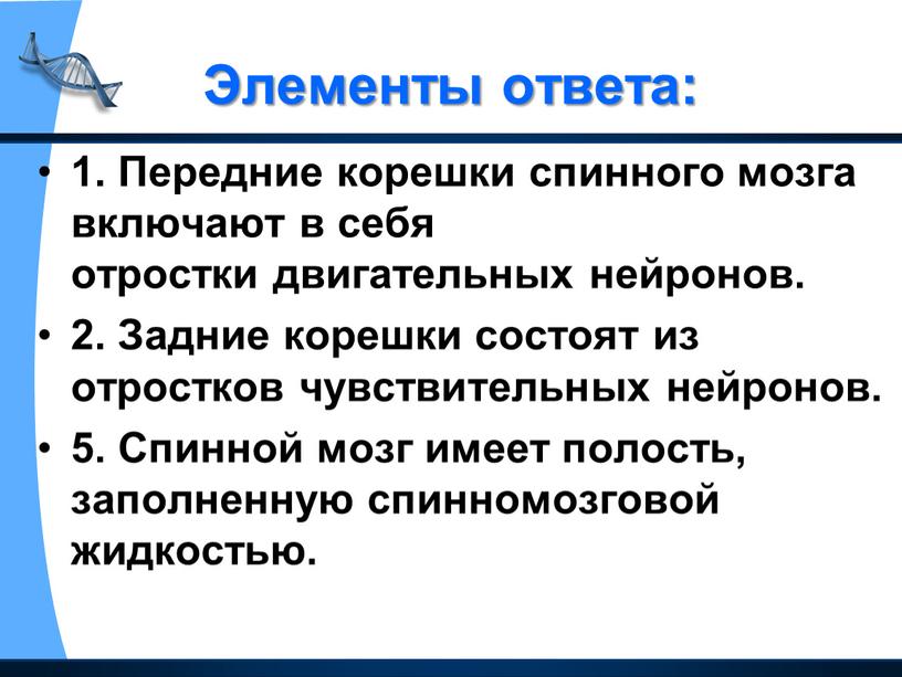 Элементы ответа: 1. Передние корешки спинного мозга включают в себя отростки двигательных нейронов