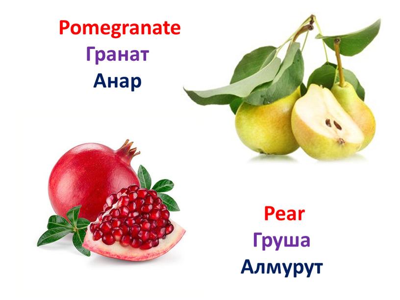 Pear Груша Алмурут Pomegranate