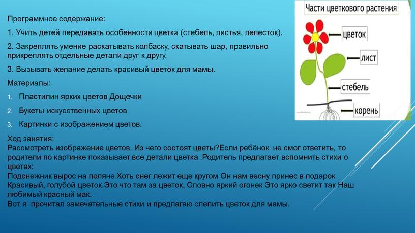 Программное содержание: 1. Учить детей передавать особенности цветка (стебель, листья, лепесток)