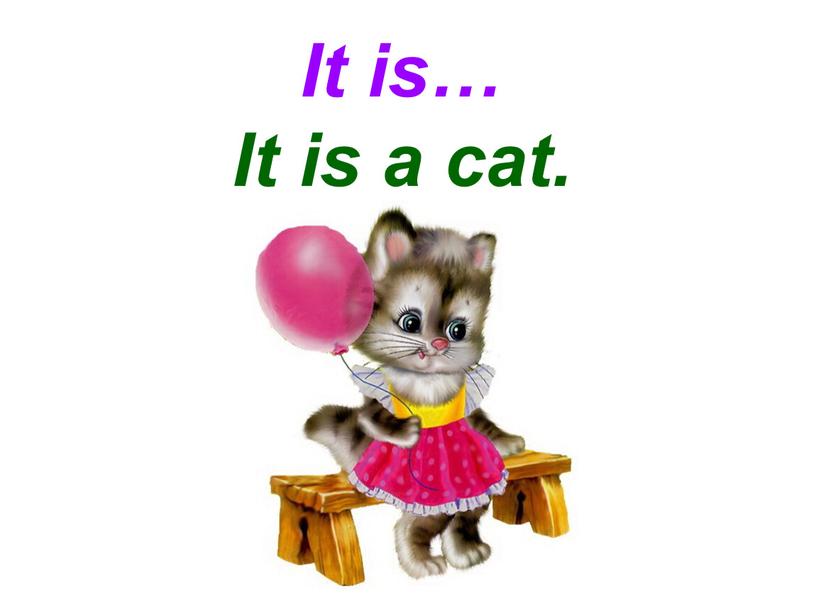 It is… It is a cat.