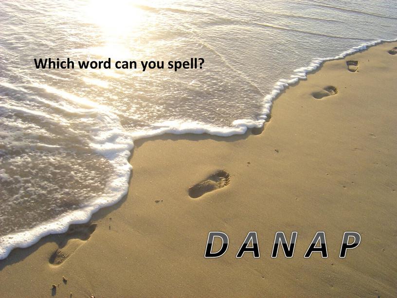 Which word can you spell? D A N