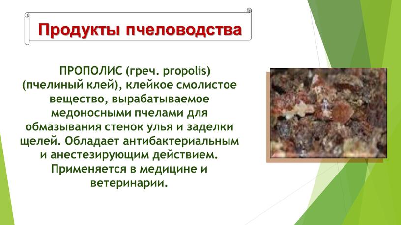 Продукты пчеловодства ПРОПОЛИС (греч