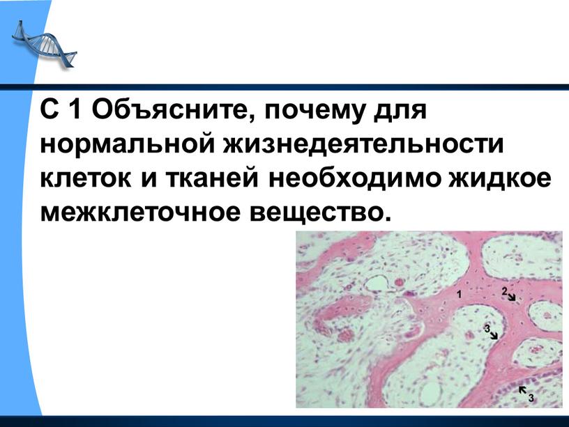 С 1 Объясните, почему для нормальной жизнедеятельности клеток и тканей необходимо жидкое межклеточное вещество