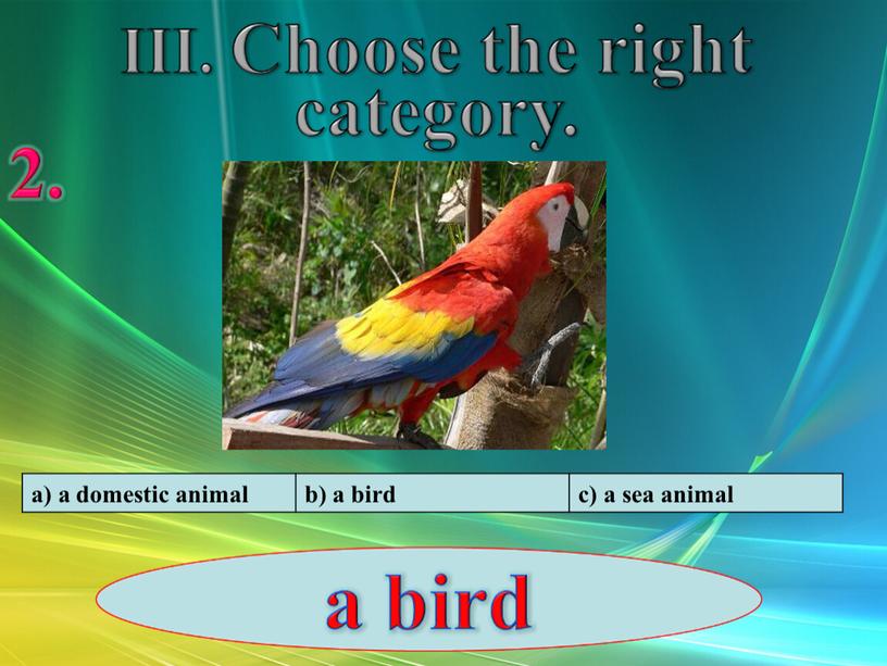 a) a domestic animal b) a bird c) a sea animal