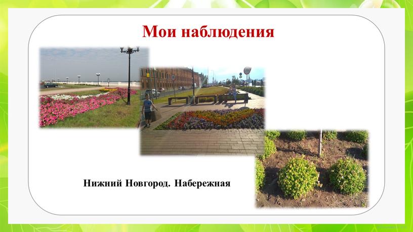 Мои наблюдения Нижний Новгород