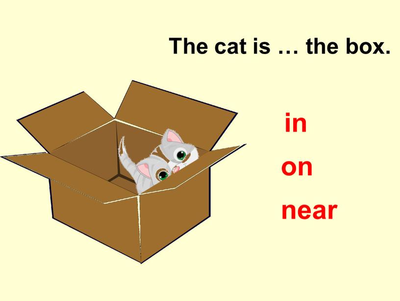 The cat is … the box. on near in