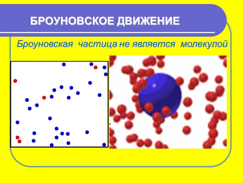 БРОУНОВСКОЕ ДВИЖЕНИЕ Броуновская частица не является молекулой