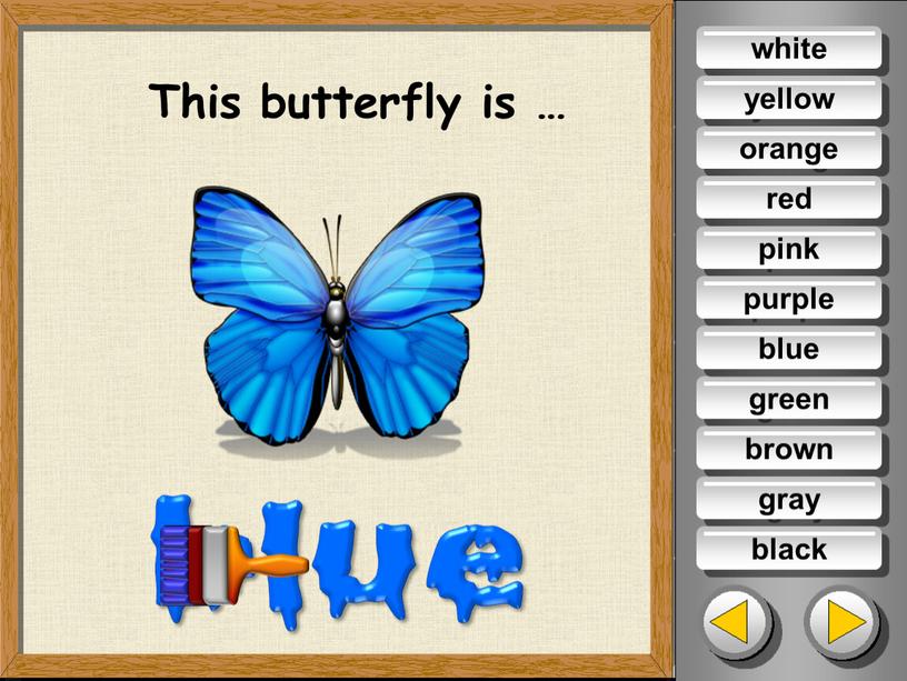 This butterfly is … white yellow orange red pink purple green brown gray black blue