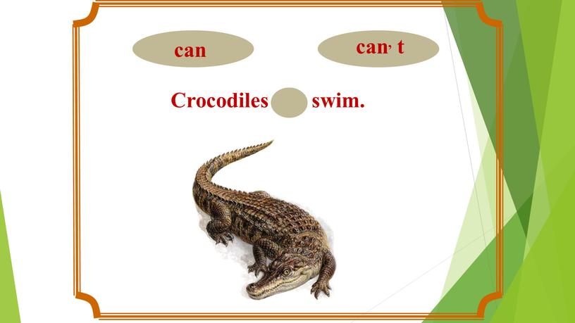 Crocodiles can swim.