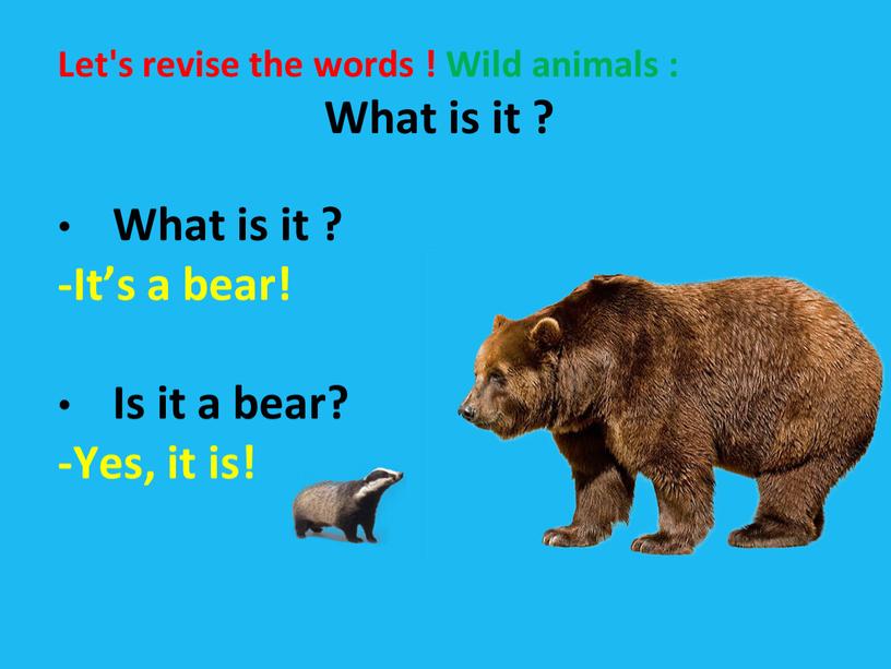 Let's revise the words ! Wild animals :