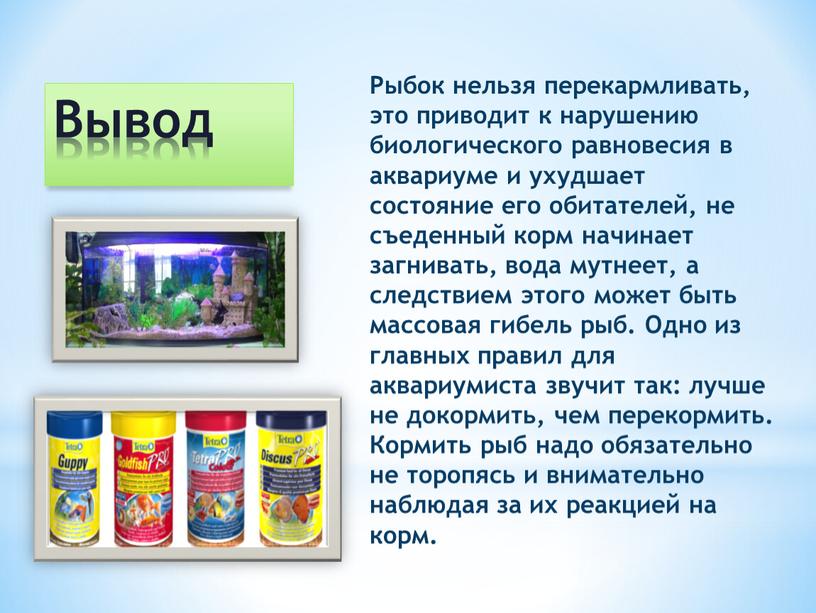 Вывод Рыбок нельзя перекармливать, это приводит к нарушению биологического равновесия в аквариуме и ухудшает состояние его обитателей, не съеденный корм начинает загнивать, вода мутнеет, а…