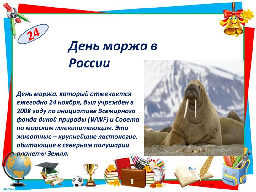 День моржа в России 24 День моржа, который отмечается ежегодно 24 ноября, был учрежден в 2008 году по инициативе