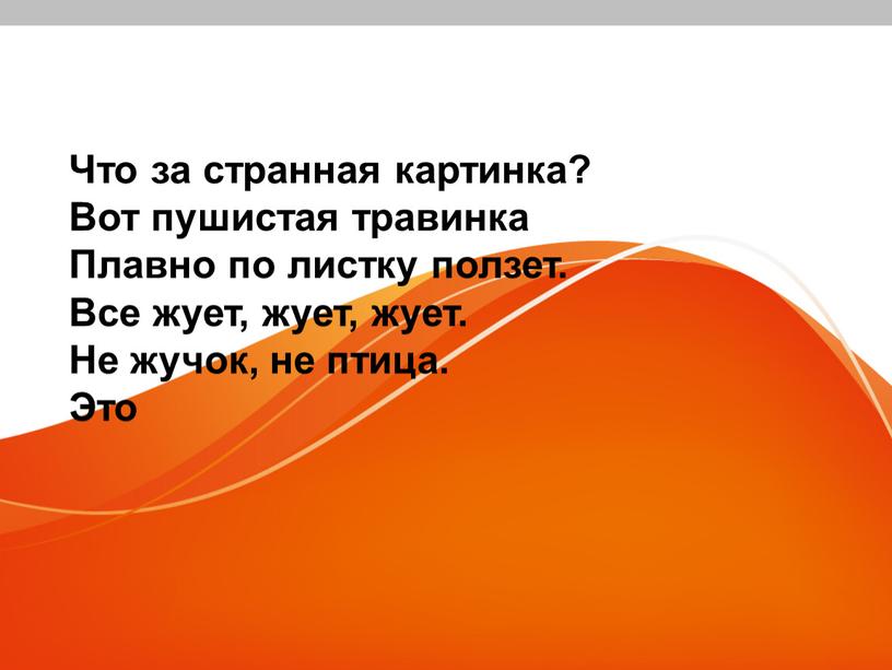 Что за странная картинка? Вот пушистая травинка