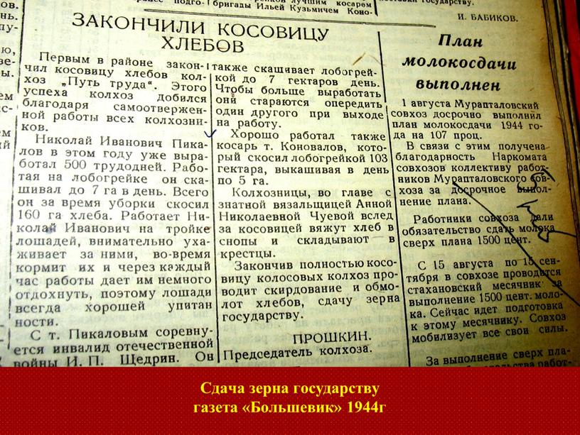 Сдача зерна государству газета «Большевик» 1944г