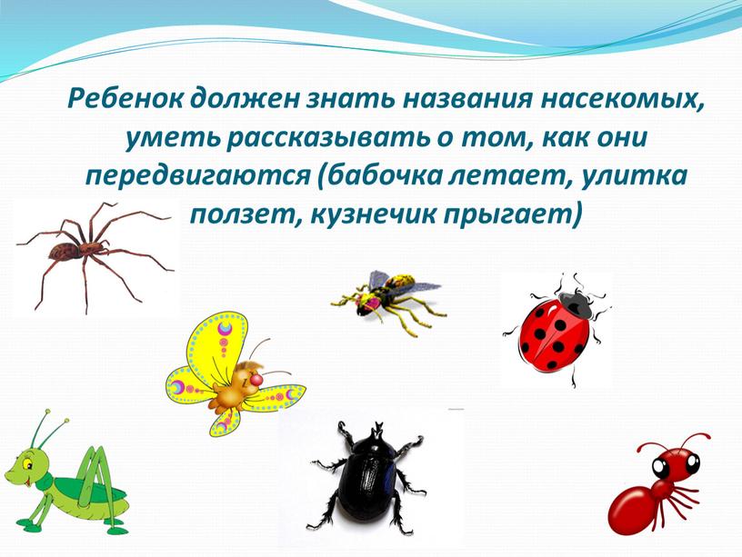 Ребенок должен знать названия насекомых, уметь рассказывать о том, как они передвигаются (бабочка летает, улитка ползет, кузнечик прыгает)