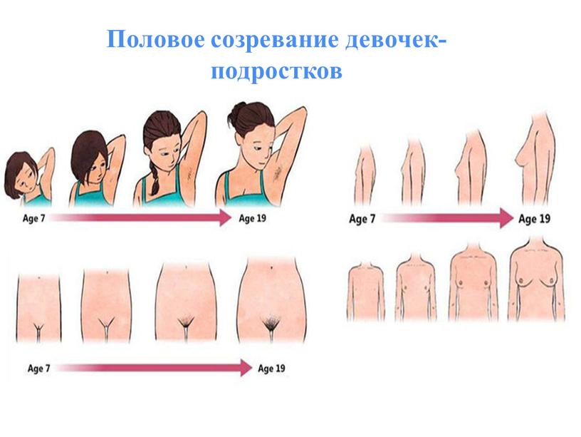 Половое созревание девочек-подростков