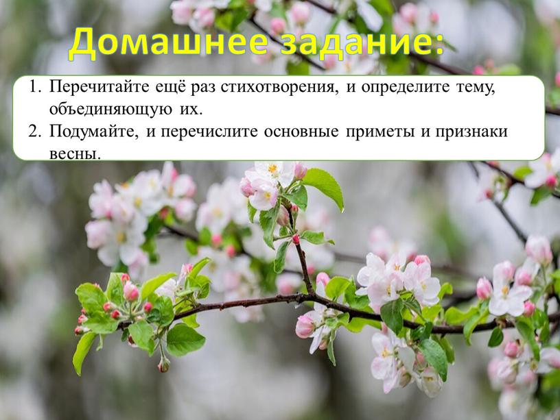 Домашнее задание: Перечитайте ещё раз стихотворения, и определите тему, объединяющую их