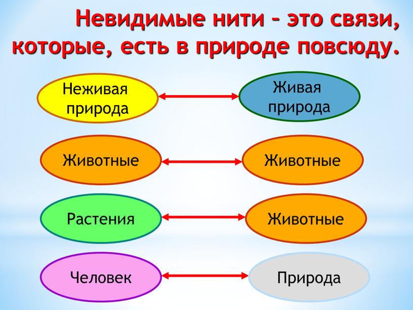 Невидимые нити – это связи, которые, есть в природе повсюду