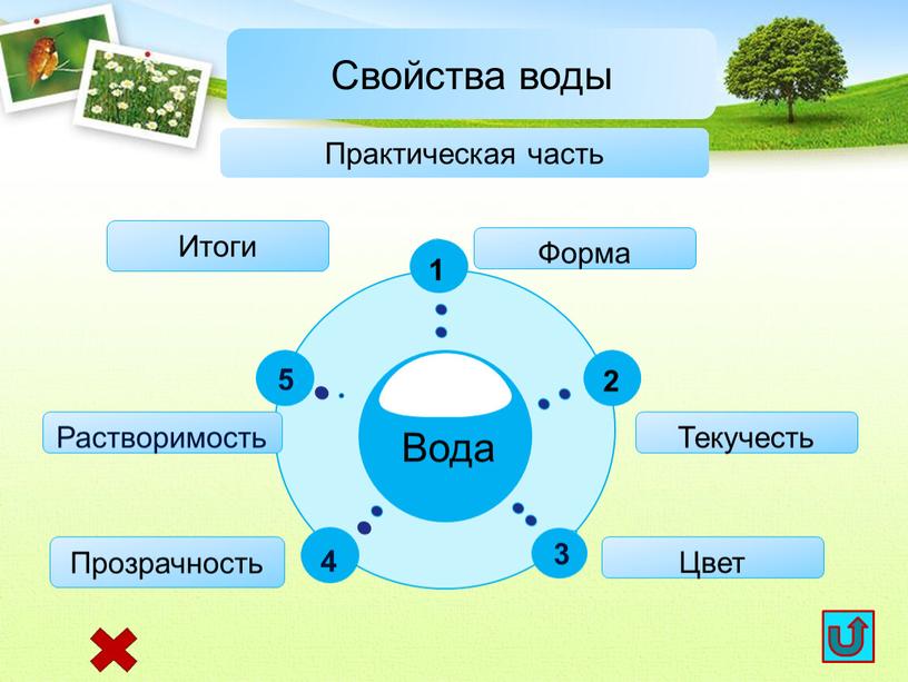 Свойства воды Практическая часть