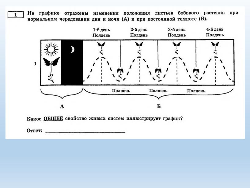 Разбор заданий №1 ОГЭ биология из сборника В.С.Рохлова