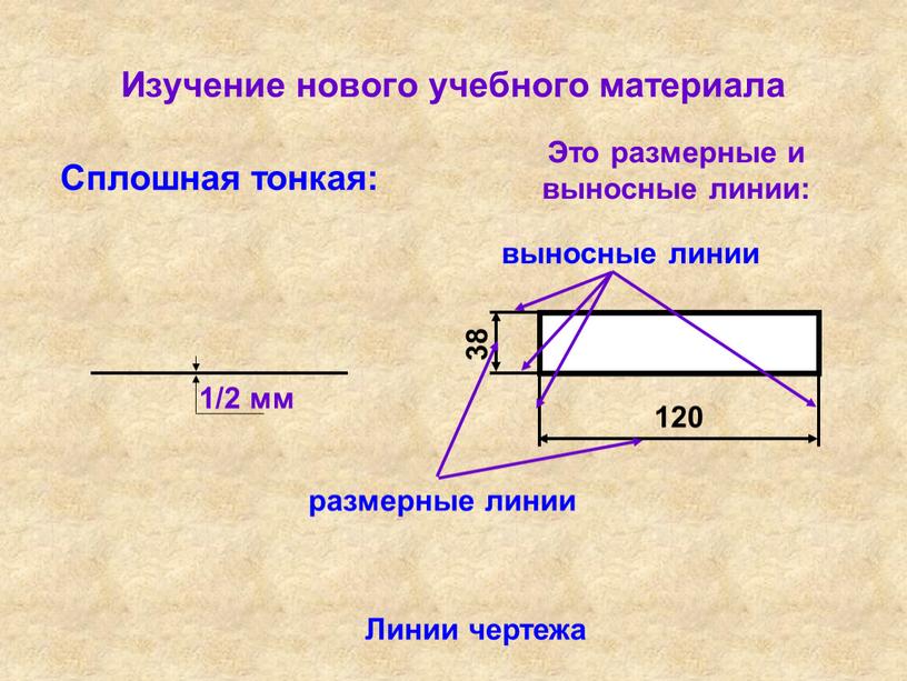 Изучение нового учебного материала