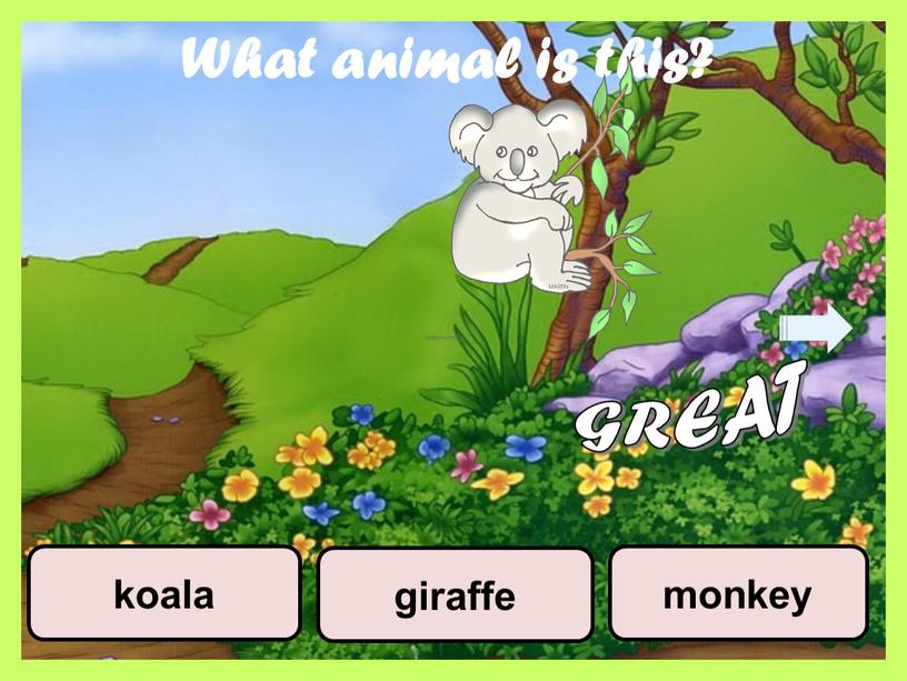 What animal is this? monkey koala giraffe